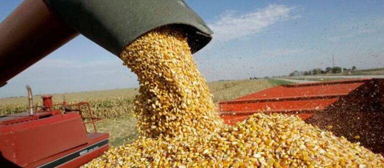 a-159-exportadores-de-granos-le-suspenden-la-matricula-por-no-informar-sobre-ope-202507We-152328-1cff.jpg