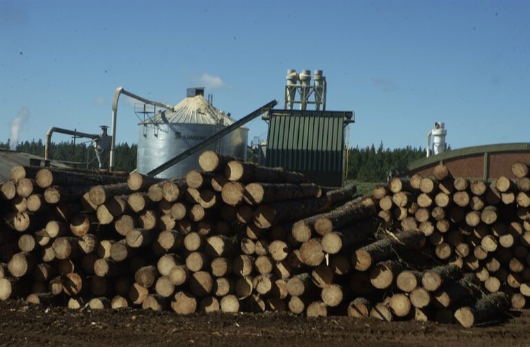 a-las-empresas-madereras-les-va-mal-pero-a-faima-no-tanto-202507Th-155734-57ee.jpg