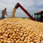 a-pesar-del-esfuerzo-las-exportaciones-agroalimentarias-apenas-crecieron-4-en-do-202507We-172652-498c.jpg
