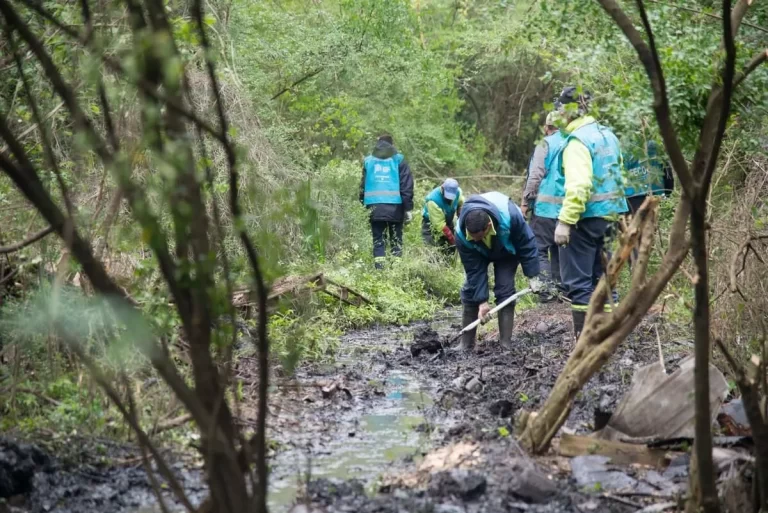 acumar-suma-un-nuevo-operativo-en-la-reserva-natural-de-ciudad-evita-202507Fr-175043-11f3.webp