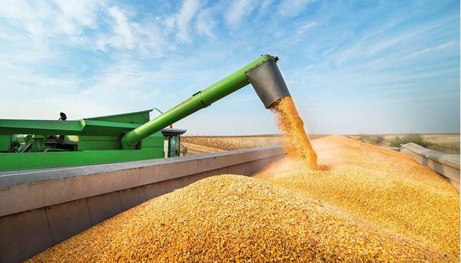 afuera-del-top-10-argentina-quedo-fuera-de-los-principales-exportadores-agricola-202507We-152525-5b64.jpg