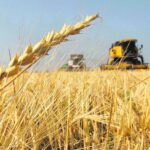 agroexportadores-la-afip-buscara-cobrarle-las-retenciones-a-los-vivos-de-siempre-202507Mo-010851-7e55.jpg
