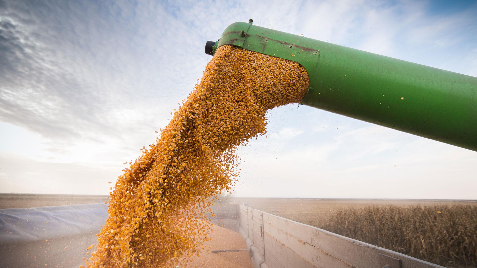 agroindustria-exportacion-de-granos-record-en-octubre-202507Tu-225202-6ee1.jpg