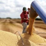 argentina-lista-para-reemplazar-a-estados-unidos-como-proveedor-de-mexico-202507We-152635-d3c8.jpg