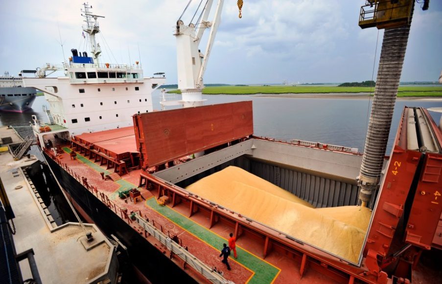balanza-o-a-dedo-el-insolito-control-sobre-la-exportacion-de-granos-en-la-argent-202507We-111500-6010.jpg