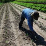 buenos-aires-las-pymes-del-agro-reciben-un-alivio-por-parte-de-arba-202507We-120826-a626.jpg