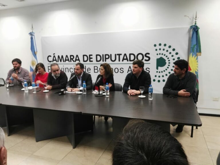 buenos-aires-presentaron-proyecto-para-proteger-la-produccion-porcina-202507Fr-155406-8074.jpg