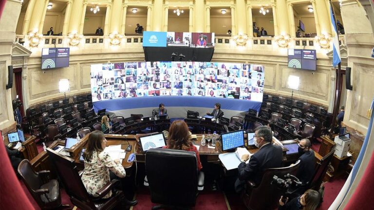 cuales-son-los-ejes-centrales-de-la-moratoria-que-fue-aprobada-en-el-congreso-202507Sa-172708-5908.jpg