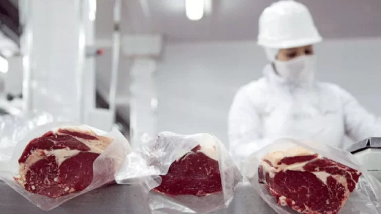 cuales-son-los-nuevos-precios-de-cortes-de-carne-anunciados-esta-semana-por-el-g-202507Th-155952-885d.webp
