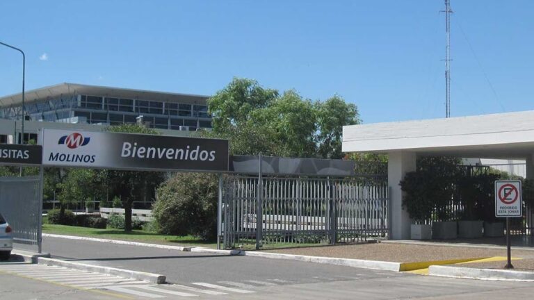 debido-a-la-crisis-y-las-caidas-molinos-pierde-1356-millones-202507Fr-135103-356d.jpg
