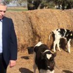 desde-la-sociedad-rural-advierten-y-presionan-a-alberto-fernandez-insistir-con-s-202507We-122229-cc0a.jpg