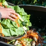 dia-internacional-de-concienciacion-sobre-la-perdida-de-alimentos-como-es-la-sit-202507We-092421-62d1.webp