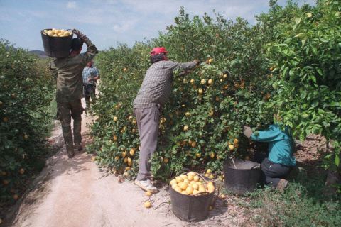 economias-regionales-reclaman-por-la-baja-efectividad-de-la-ayuda-202507We-153212-bb1a.jpg