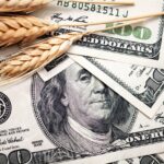 el-dolar-y-el-precio-de-los-alimentos-202507Fr-200538-b49f.jpg