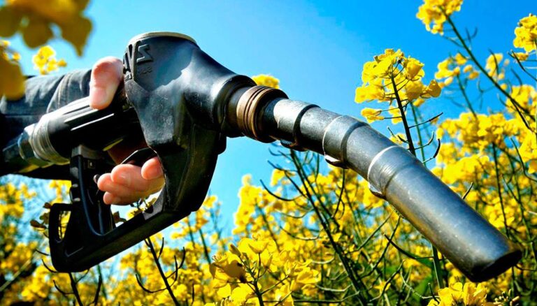 el-gobierno-aumento-hasta-90-el-precio-del-biodiesel-y-actualizo-su-valor-202507Th-173754-3ecb.jpg