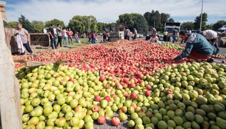 el-gobierno-lanza-un-programa-de-asistencia-economica-para-productores-de-manzan-202507Fr-105645-07eb.jpg