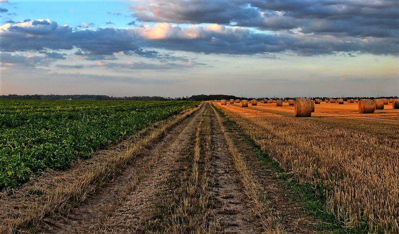 el-pj-de-santa-fe-quiere-gravar-a-grandes-latifundios-para-ayudar-a-pequenos-pro-202507Fr-110446-132f.jpg