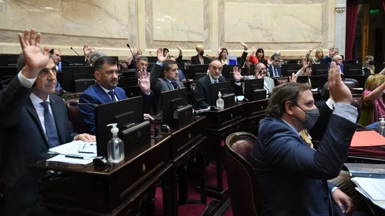 el-senado-aprobo-el-alivio-fiscal-solo-resta-la-reglamentacion-de-afip-202507Sa-171418-369e.webp