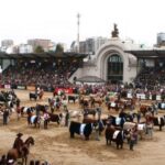 elecciones-en-la-sociedad-rural-el-pro-quiere-imponerse-frente-al-sector-tradici-202507Tu-230525-dc25.jpg