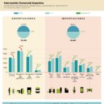 en-2017-la-importacion-crecio-197-interanual-y-la-balanza-se-desplomo-hasta-los-202507Mo-175502-8234.jpg