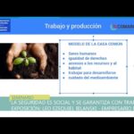 en-busca-de-desmonopolizar-el-mercado-enac-propone-reglamentar-el-articulo-14-bi-202507Tu-221621-eba3.jpg