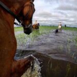 etchevehere-se-va-de-gira-internacional-en-medio-de-las-inundaciones-202507Mo-221445-d9f8.jpg
