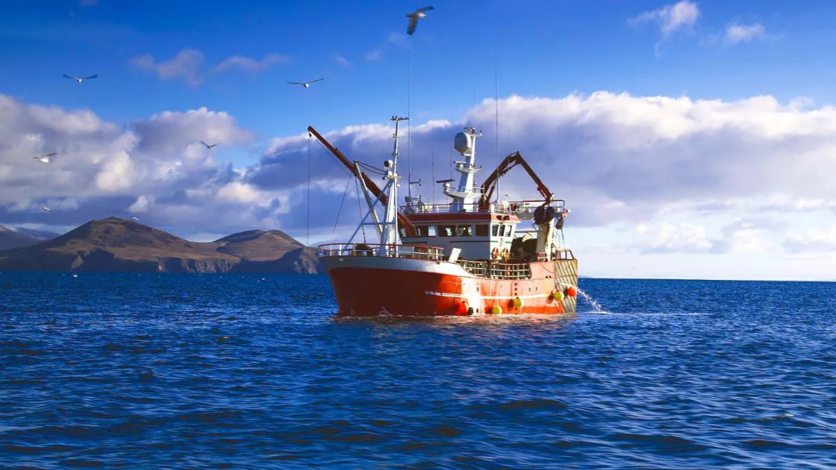 exportaciones-pesqueras-patagonicos-celebran-baja-de-aranceles-202507Th-163453-b3a4.webp