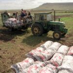 federacion-agraria-alerta-por-la-importacion-de-papa-de-brasil-202507We-172442-2c13.jpg