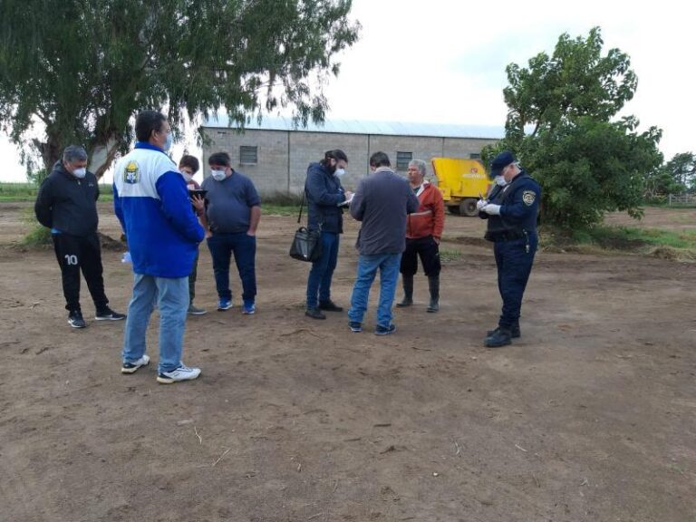 grave-rescataron-a-mas-de-130-trabajadores-que-sufrian-explotacion-agropecuaria-202507We-085700-84d1.jpg