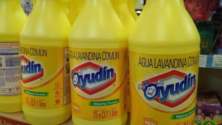 imputaron-a-la-empresa-clorox-fabricante-de-ayudin-por-practicas-abusivas-y-publ-202507Fr-130231-85b4.jpg