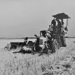 industria-del-cannabis-la-historia-de-la-empresa-que-plantaba-y-producia-canamo-202507Fr-122006-55f0.webp