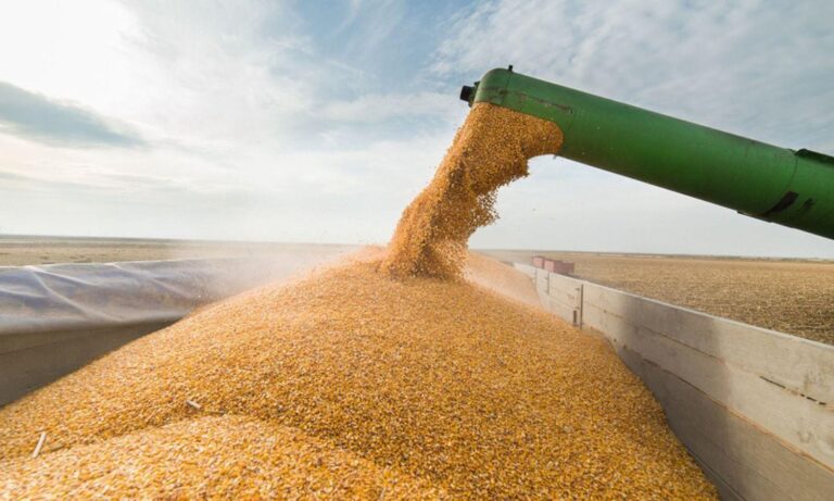 inedito-en-buenos-aires-las-exportaciones-del-agro-superan-a-las-industriales-202507We-153116-3eaf.jpg