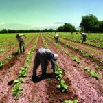 jose-voytenco-titular-de-uatre-en-el-campo-aun-existen-500000-trabajadores-en-ne-202507We-111024-6062.jpeg