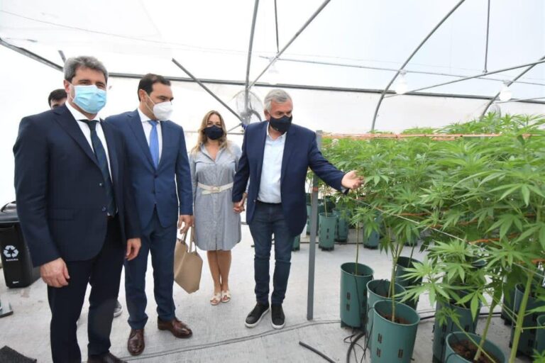 jujuy-inauguo-el-primer-laboratorio-de-cannabis-medicinal-202507Fr-091611-c180.jpg