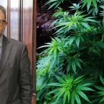 kulfas-queremos-desarrollar-la-cadena-productiva-del-cannabis-y-del-canamo-y-gar-202507We-181607-58de.webp