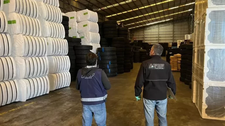 la-aduana-secuestro-4557-neumaticos-que-ingresaban-sin-declarar-202507Th-153844-eb7f.webp