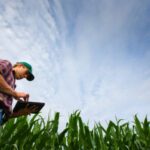 la-app-del-agro-une-a-productores-con-empresas-202507We-152256-a74b.jpeg