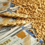 la-cerealera-extrugreen-vinculada-a-vicentin-es-suspendida-por-no-liquidar-divis-202507Th-170543-1af6.jpg