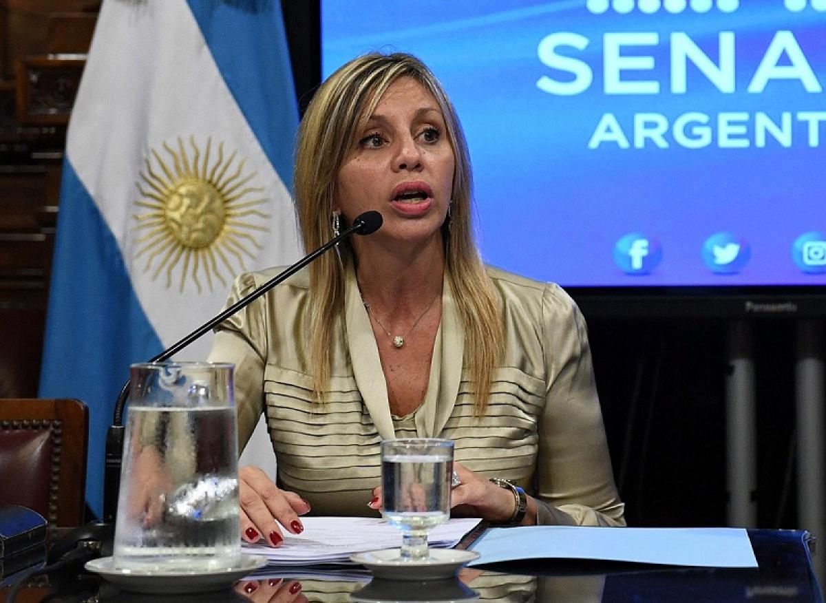 la-senadora-sacnun-presento-un-proyecto-de-ley-para-congelar-el-precio-de-los-al-202507Sa-173525-5d7e.jpg
