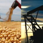 la-soja-cayo-casi-8-y-el-petroleo-ya-vale-40-menos-que-al-inicio-del-gobierno-de-202507Mo-154716-2da1.jpg