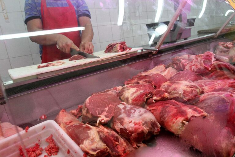 los-precios-de-la-carne-no-bajan-y-los-carniceros-se-quejan-la-gente-no-entra-202507Th-170408-9d3a.jpg