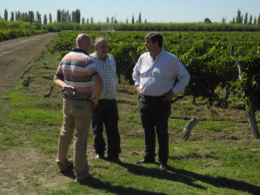 mendoza-el-municipio-de-junin-se-hace-cargo-de-una-bodega-y-beneficiara-a-1700-p-202507Fr-152704-520f.jpg
