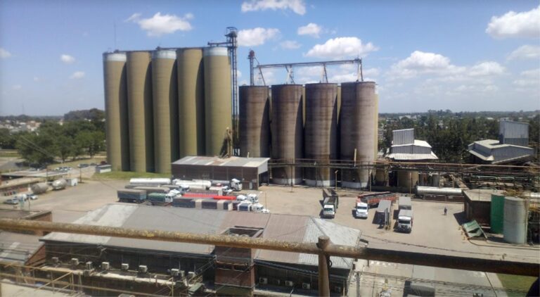 navilli-otro-gigante-del-agro-le-debe-mas-de-7000-millones-al-banco-nacion-202507Fr-132706-37ef.jpg