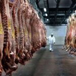 no-es-cuento-chino-despues-de-15-anos-china-abre-el-mercado-para-todos-los-corte-202507Mo-163204-bb10.jpg