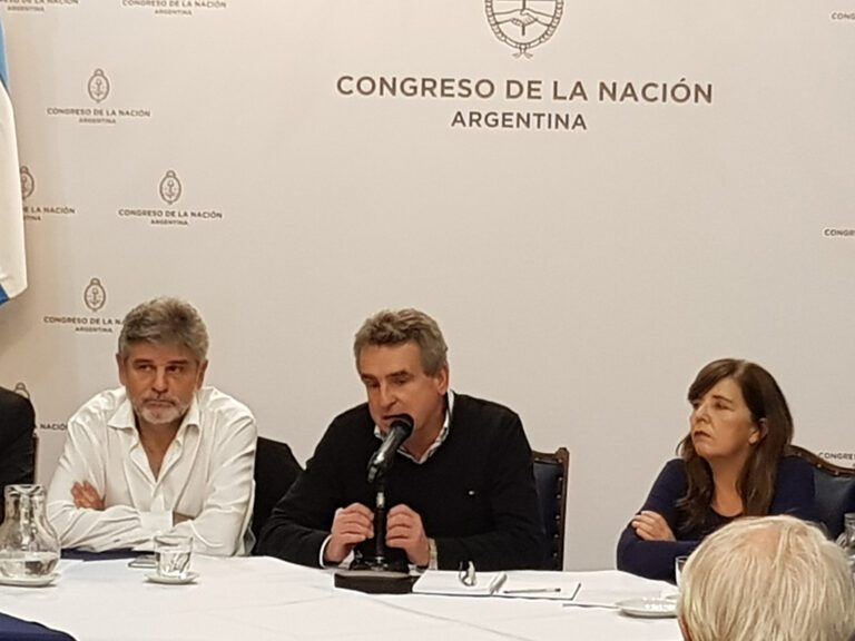 para-agustin-rossi-seria-una-torpeza-politica-que-macri-no-escuche-al-congreso-y-202507Sa-180021-3f01.jpg