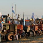 pese-al-cese-de-comercializacion-liniers-y-los-puertos-no-sintieron-el-paro-del-202507We-120933-bca4.jpg