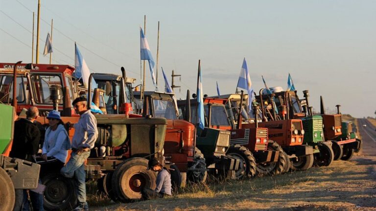 pese-al-cese-de-comercializacion-liniers-y-los-puertos-no-sintieron-el-paro-del-202507We-120933-bca4.jpg