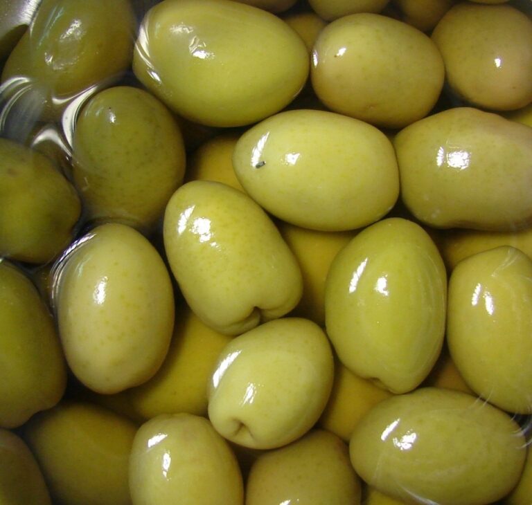 por-el-tarifazo-se-cayeron-el-80-de-los-productores-de-aceitunas-202507We-153316-7d5c.jpg
