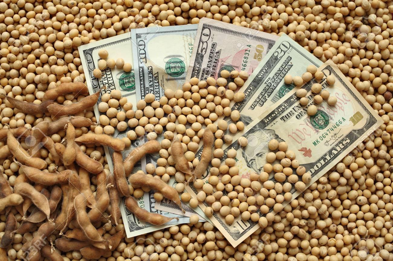por-las-exportaciones-de-la-soja-ingresaran-usd-10000-millones-extra-202507Tu-230706-a926.jpg