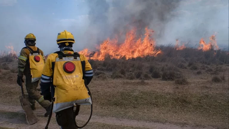 por-los-incendios-estiman-perdidas-productivas-por-mas-de-60000-millones-en-corr-202507Fr-065526-7240.webp
